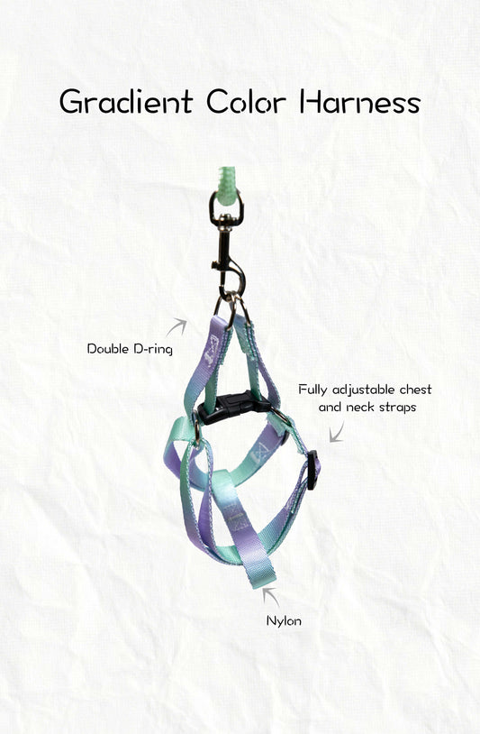 Gradient Color Adjustable Dog Harness