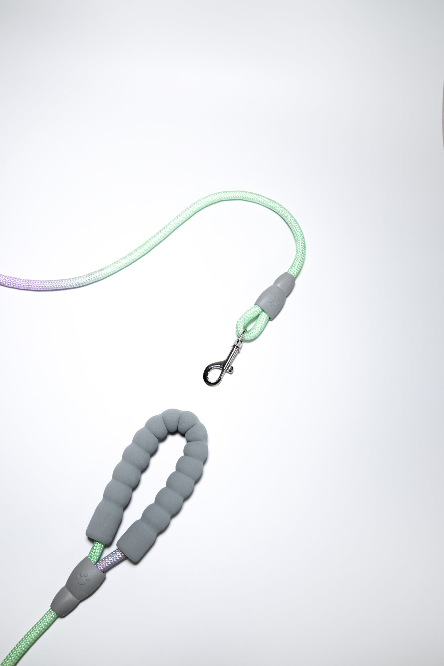 Gradient Color Leash - Soft Padded Handle