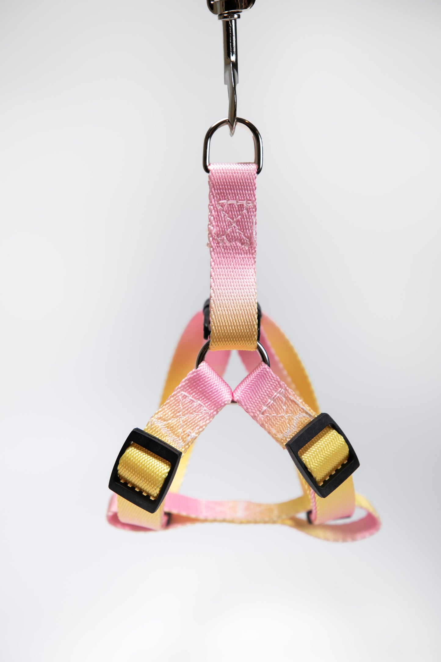 Gradient Color Adjustable Dog Harness
