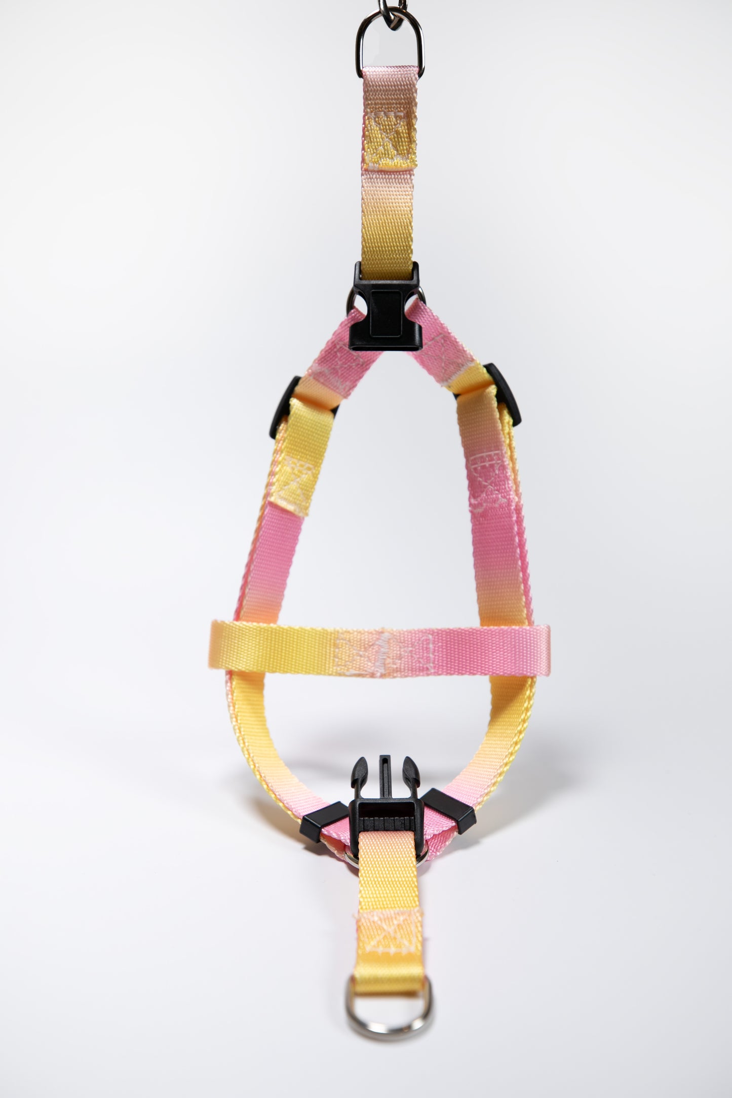 Gradient Color Adjustable Dog Harness