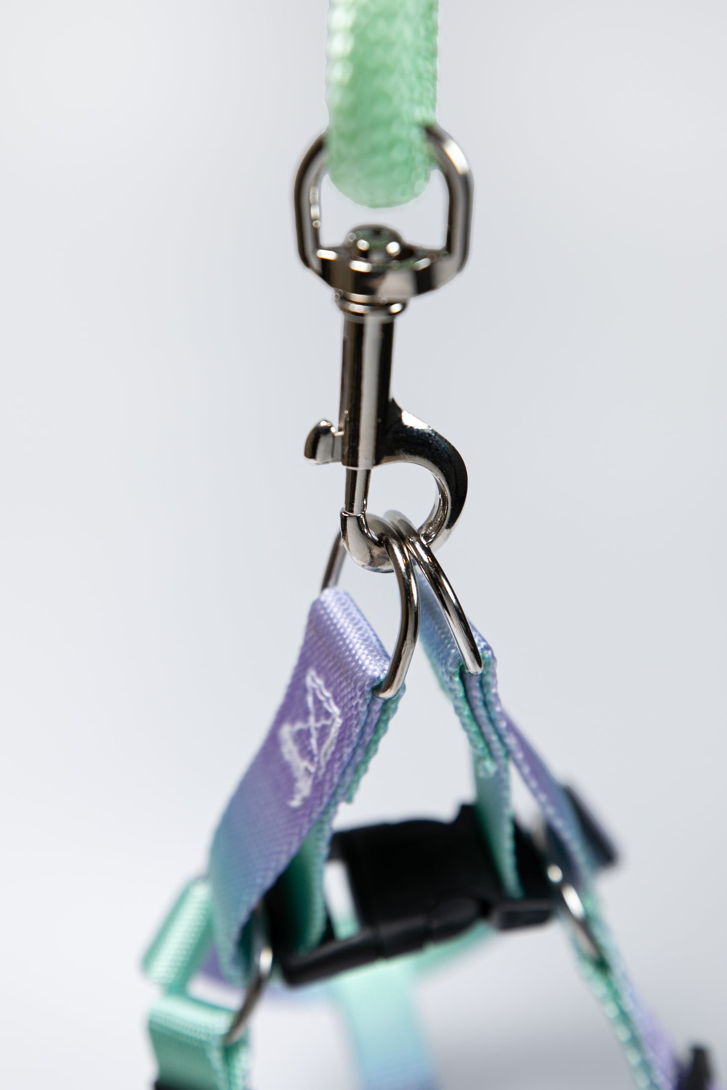 Gradient Color Adjustable Dog Harness