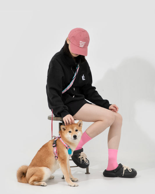 Pink and teal hands-free dog leash and harness set on Shiba Inu – premium nylon, adjustable design for stylish pet walking and training comfort