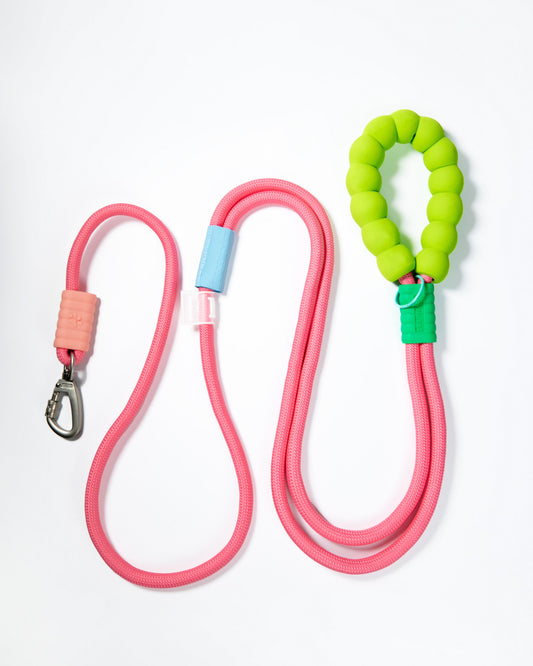 Pink rope dog leash with soft neon green padded handle – durable climbing rope style lead with secure metal clip for medium to large dogs