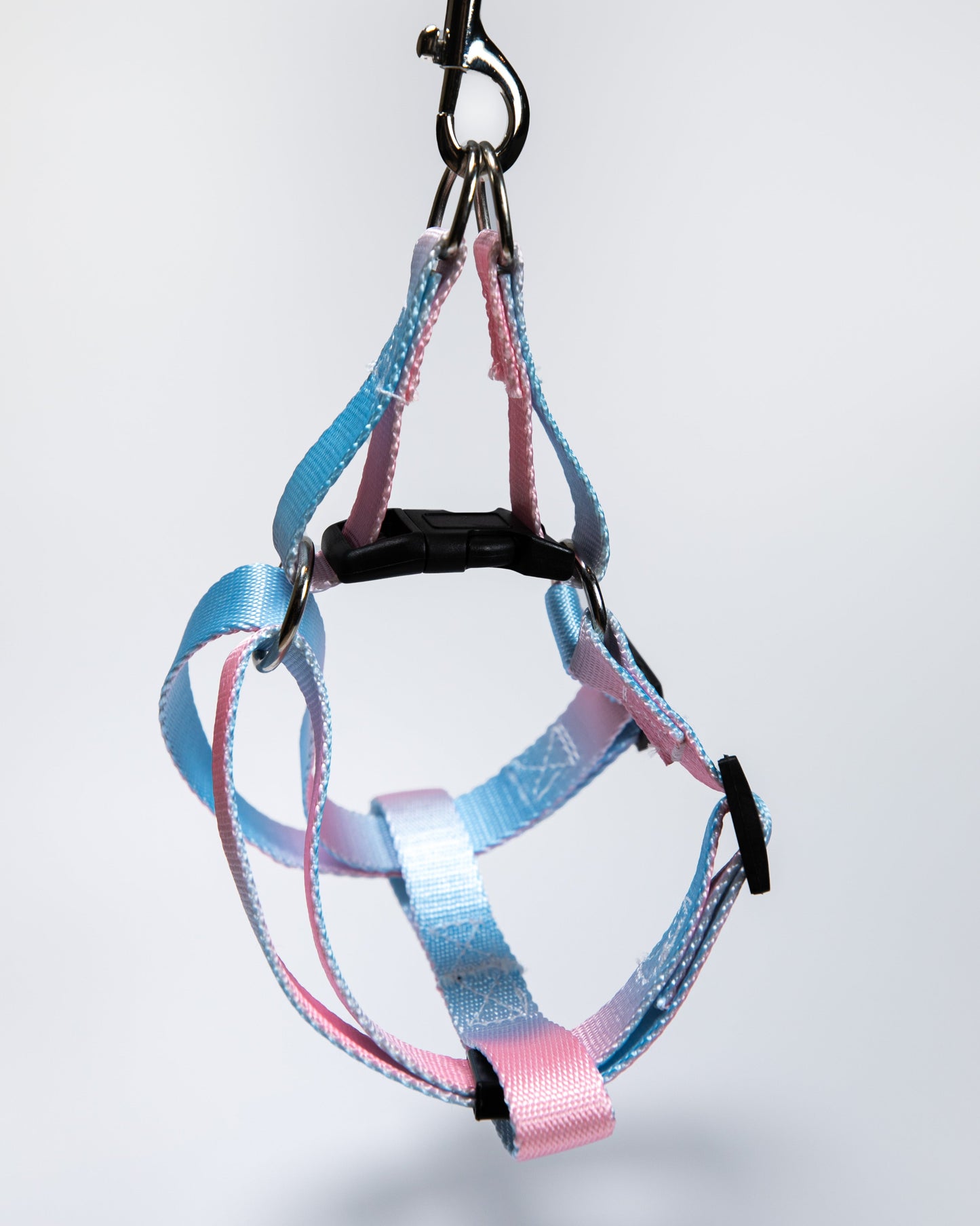 Gradient Color Dog Leads Walk Kit Leash and Harness