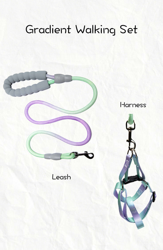 Gradient Color Dog Leads Walk Kit Leash and Harness