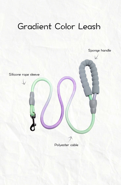 Gradient Color Leash - Soft Padded Handle