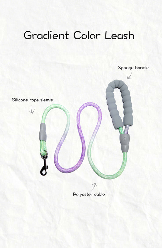 Gradient Color Leash - Soft Padded Handle