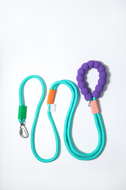 Dopamine Color Dog Leash  - Hands Free
