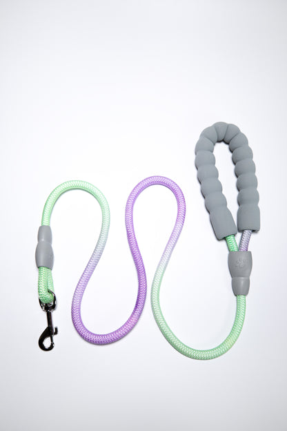 Gradient Color Leash - Soft Padded Handle