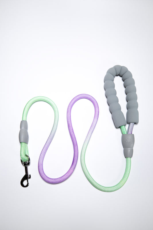 Gradient Color Leash - Soft Padded Handle