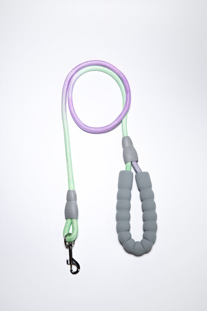 Gradient Color Dog Leads Walk Kit Leash and Harness