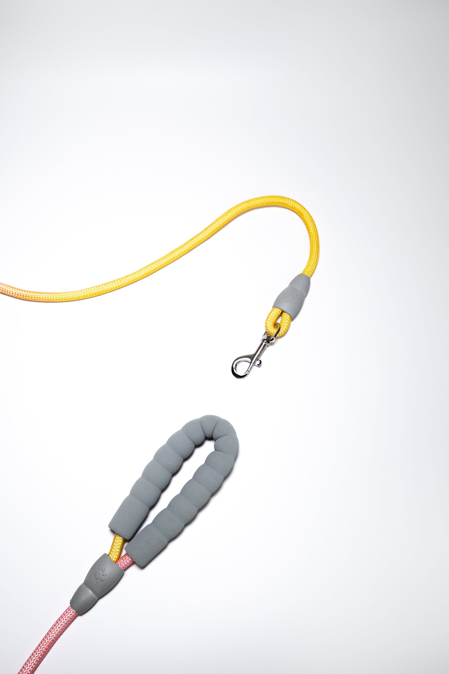 Gradient Color Leash - Soft Padded Handle