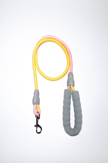 Gradient Color Dog Leads Walk Kit Leash and Harness
