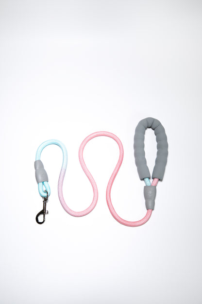 Gradient Color Leash - Soft Padded Handle