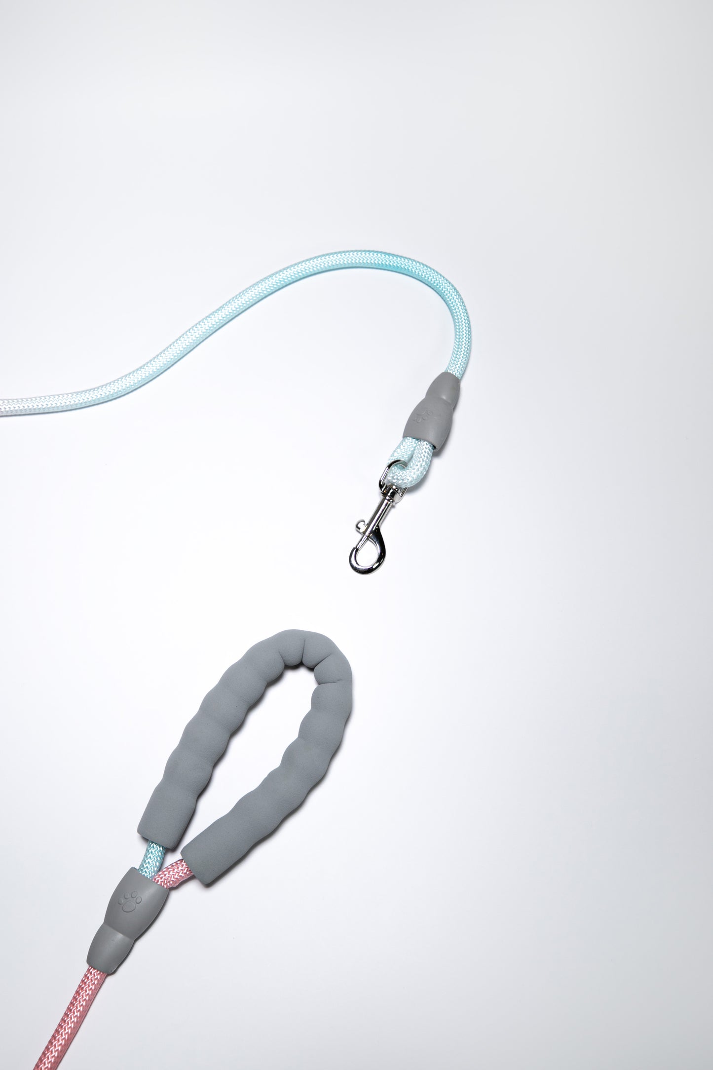 Gradient Color Leash - Soft Padded Handle