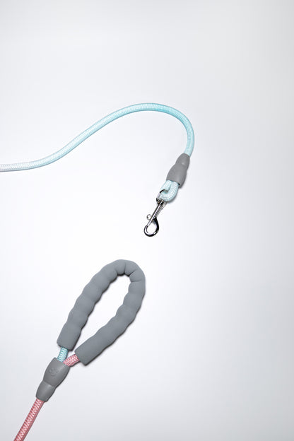 Gradient Color Leash - Soft Padded Handle