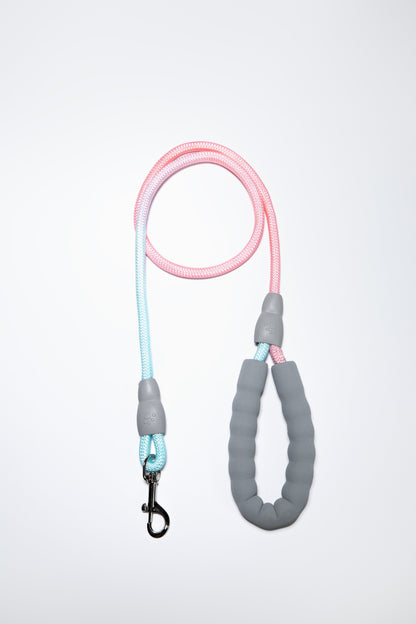 Gradient Color Dog Leads Walk Kit Leash and Harness