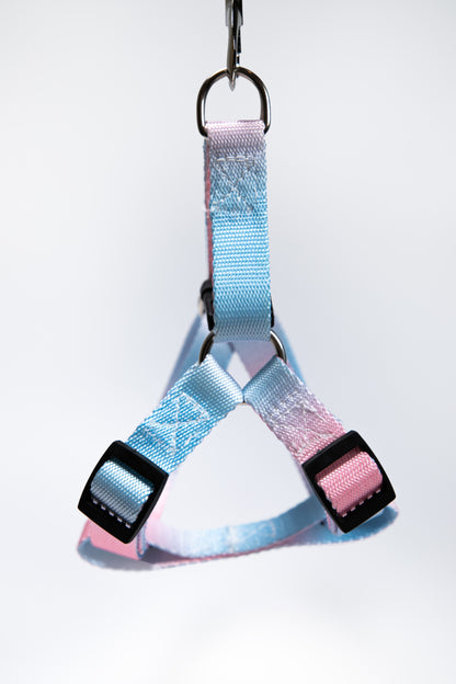 Gradient Color Dog Leads Walk Kit Leash and Harness