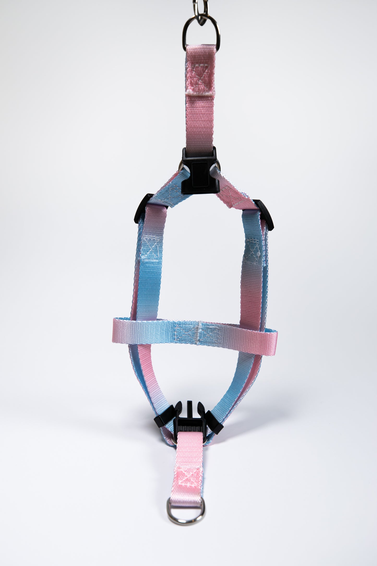 Gradient Color Dog Leads Walk Kit Leash and Harness