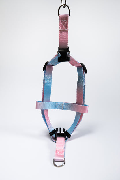 Gradient Color Dog Leads Walk Kit Leash and Harness
