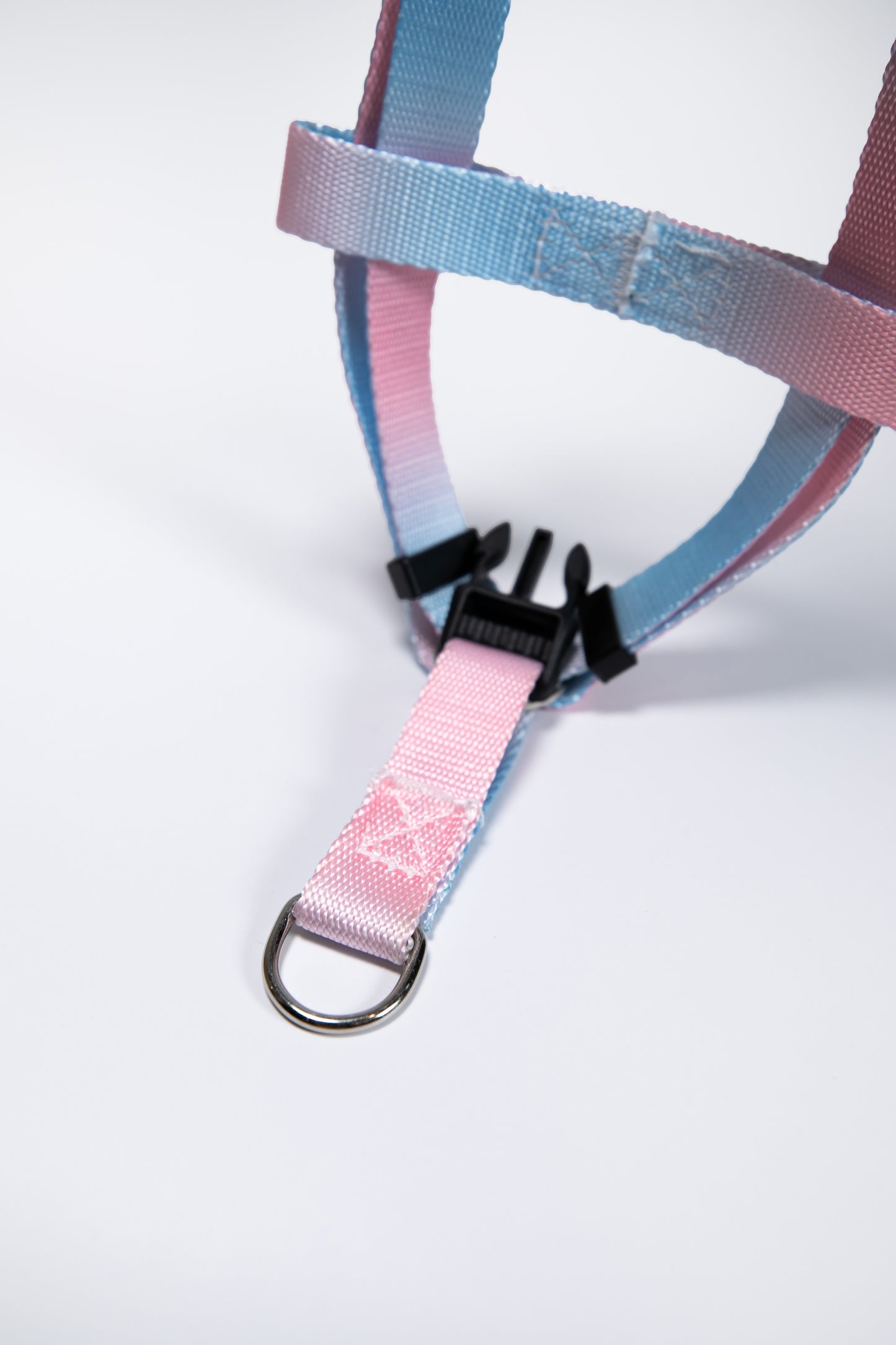 Gradient Color Dog Leads Walk Kit Leash and Harness