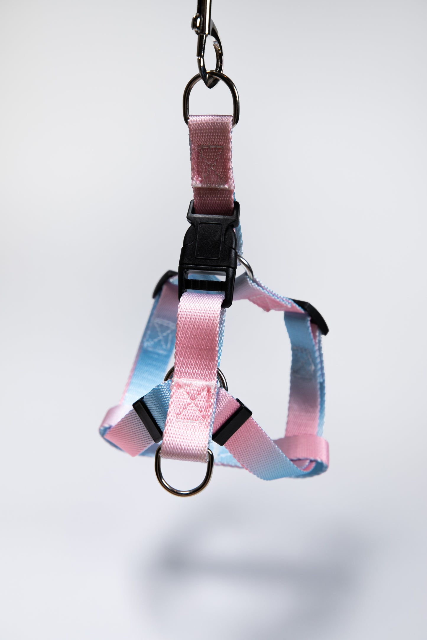 Gradient Color Dog Leads Walk Kit Leash and Harness
