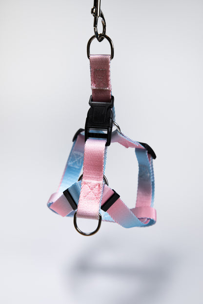 Gradient Color Dog Leads Walk Kit Leash and Harness