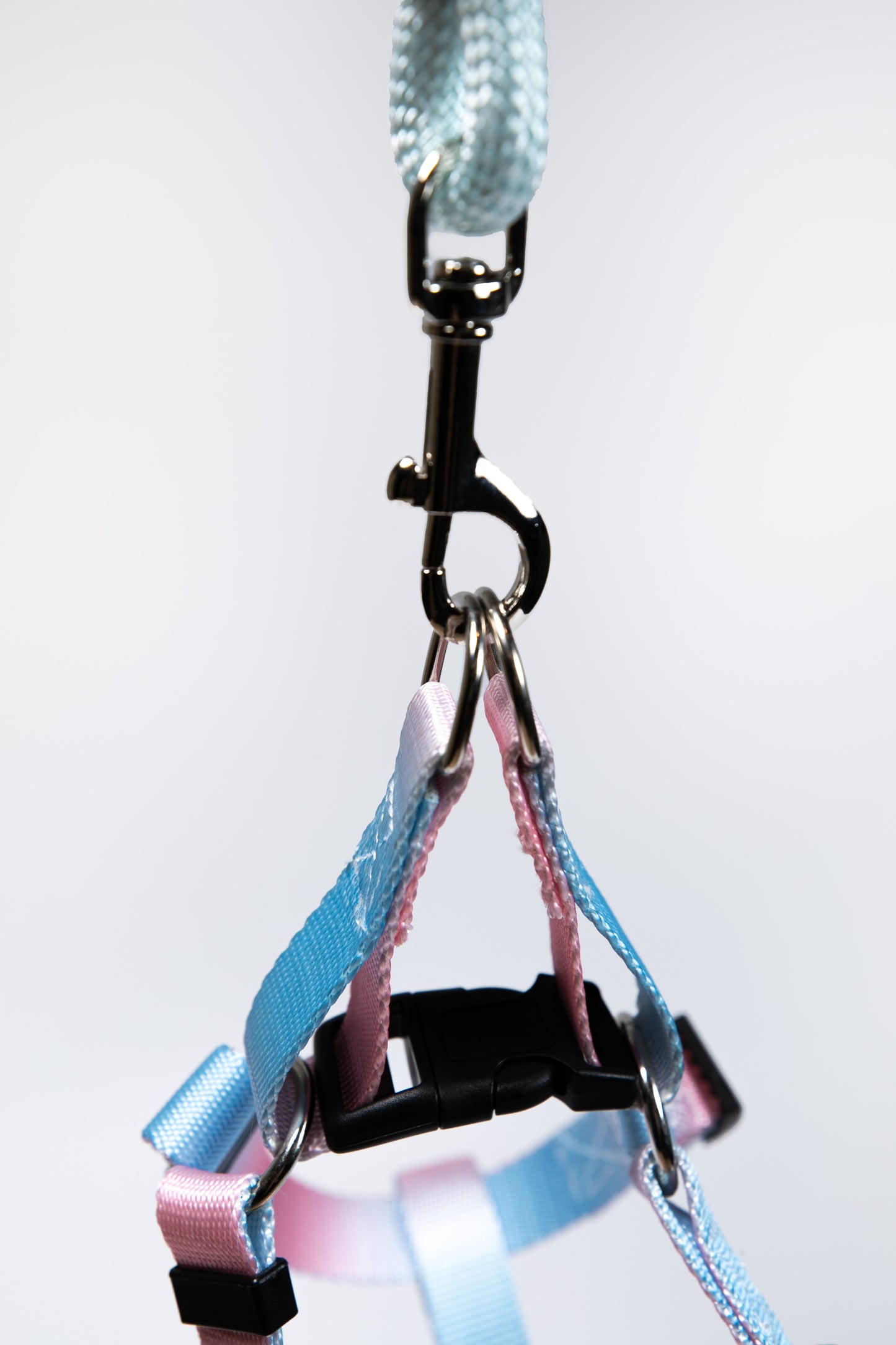 Gradient Color Dog Leads Walk Kit Leash and Harness