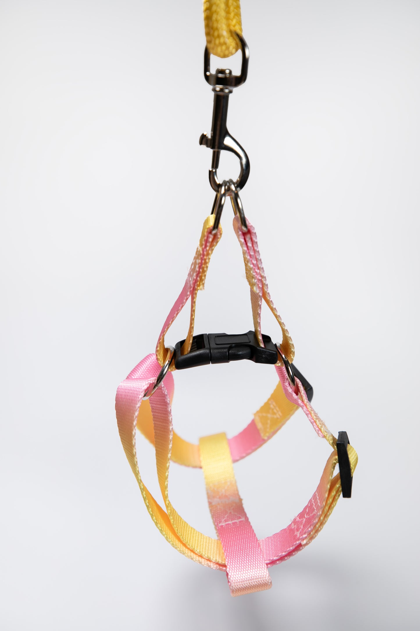 Gradient Color Dog Leads Walk Kit Leash and Harness