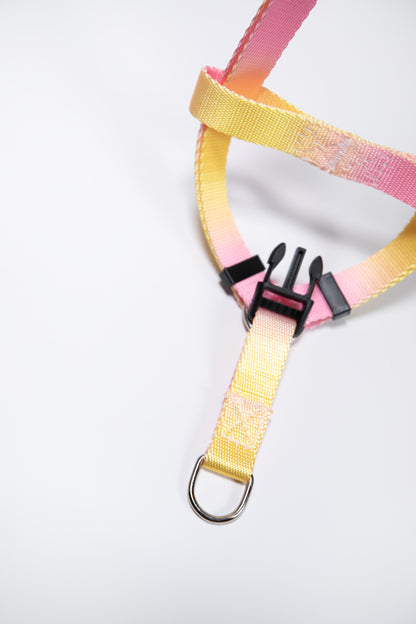 Gradient Color Adjustable Dog Harness
