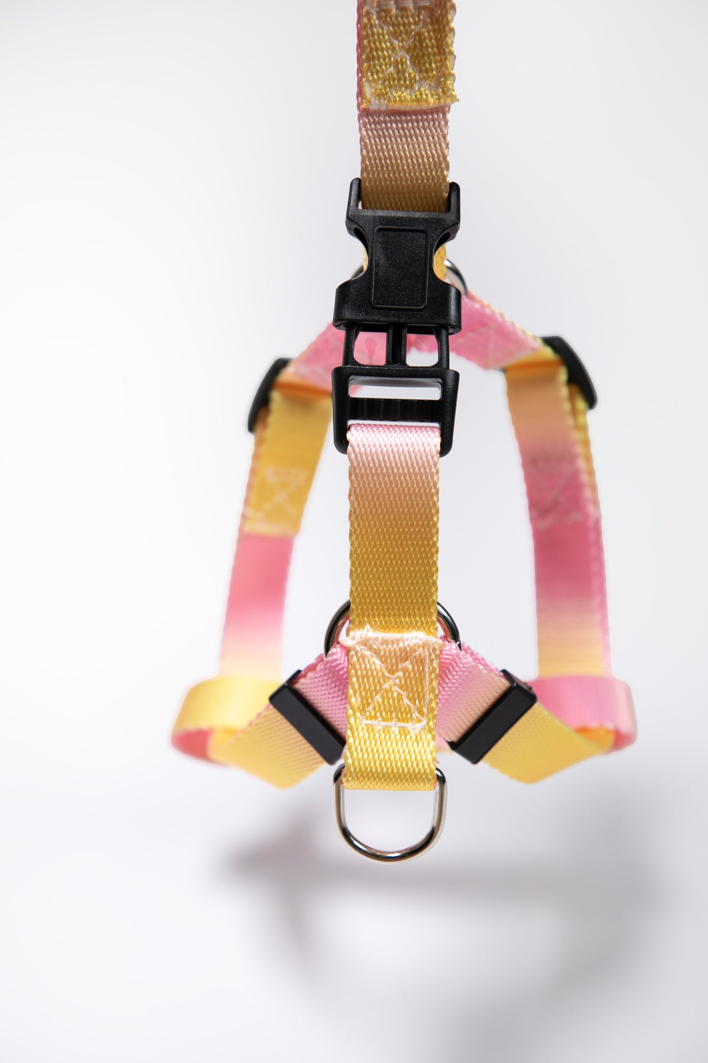 Gradient Color Dog Leads Walk Kit Leash and Harness