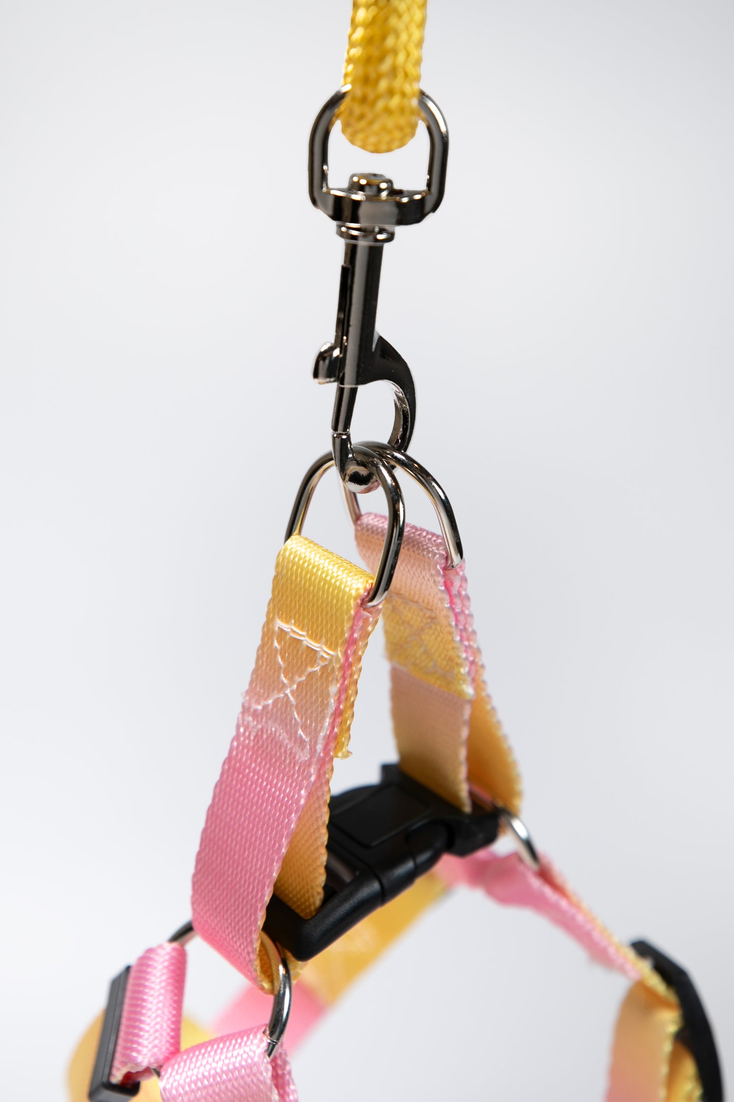 Gradient Color Dog Leads Walk Kit Leash and Harness