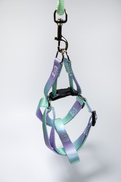Gradient Color Dog Leads Walk Kit Leash and Harness