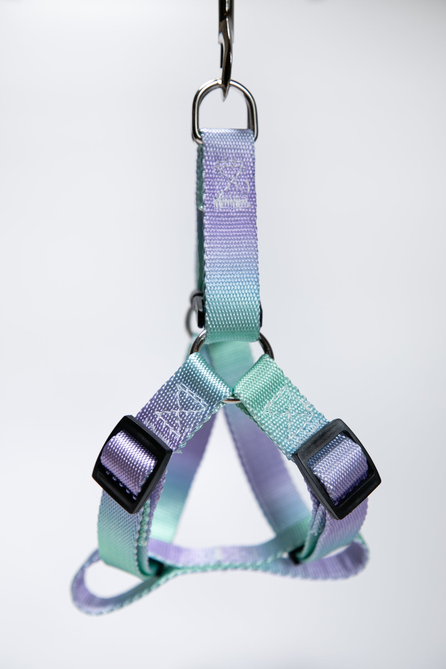 Gradient Color Dog Leads Walk Kit Leash and Harness