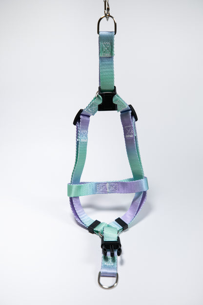 Gradient Color Adjustable Dog Harness