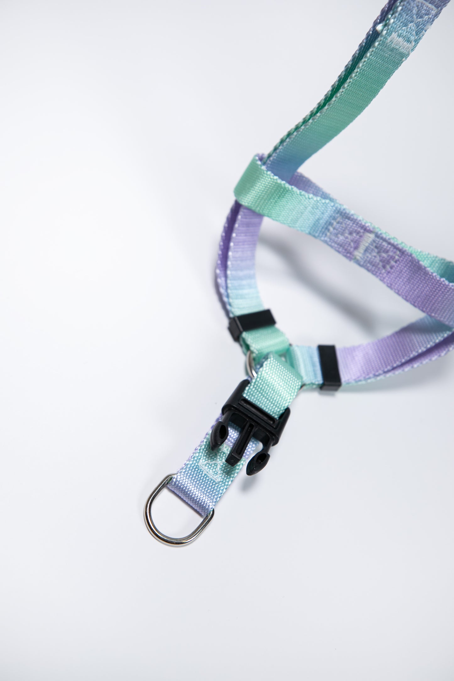Gradient Color Dog Leads Walk Kit Leash and Harness
