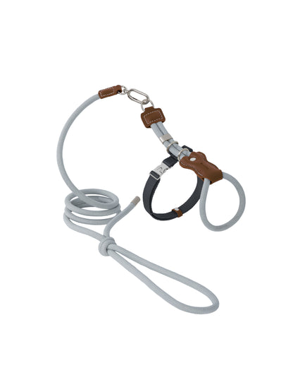 Cat harness with a gray strap on a white background