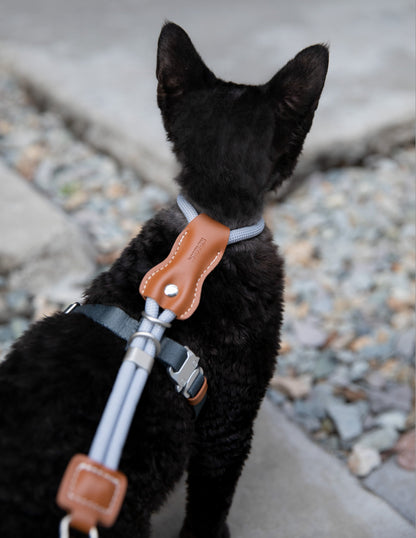 Black cat wearing a harness with a leash on a gravel path