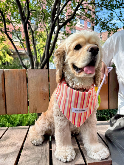 A golden retriever dog sitting on a wooden bench outdoors, wearing a red and white vertically striped bandana with a small white label that reads 'Mochaaaā'.