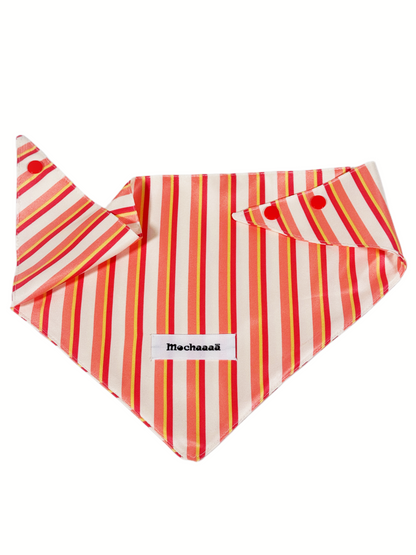 A striped pet bandana featuring vertical stripes in orange, red, and yellow on a white background, with two red snap buttons on the sides and a white brand label reading 'Mochaaaā'.