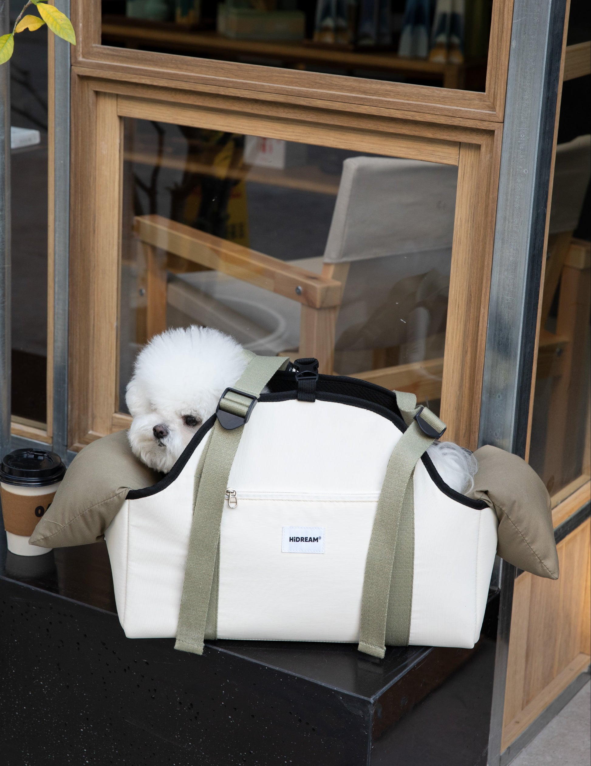 Small white dog in a white pet carrier with green straps, sitting on a black surface.