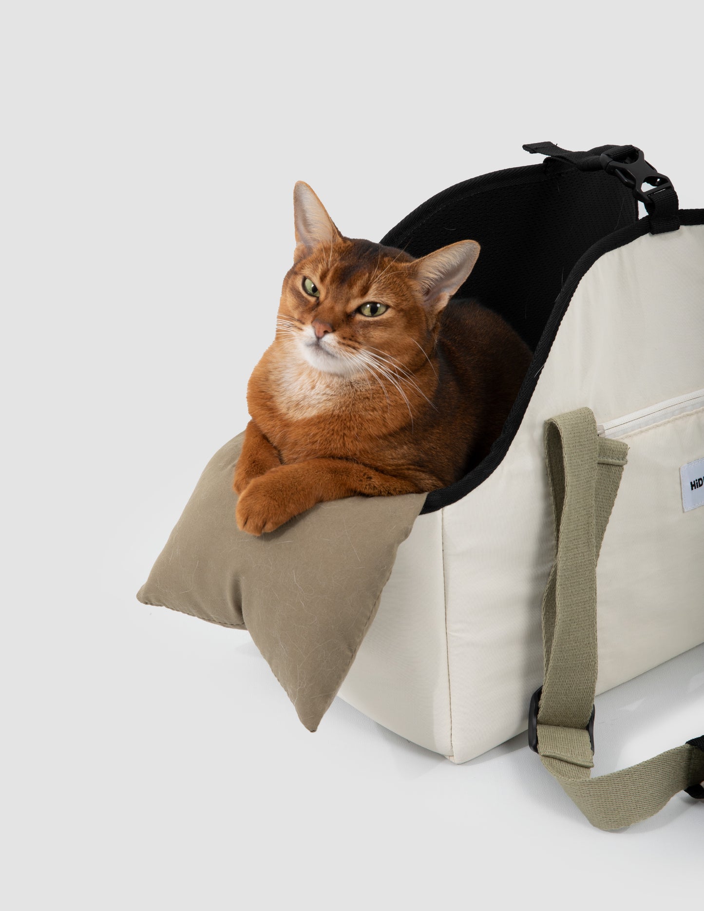 Cat sitting inside a beige pet carrier on a white background