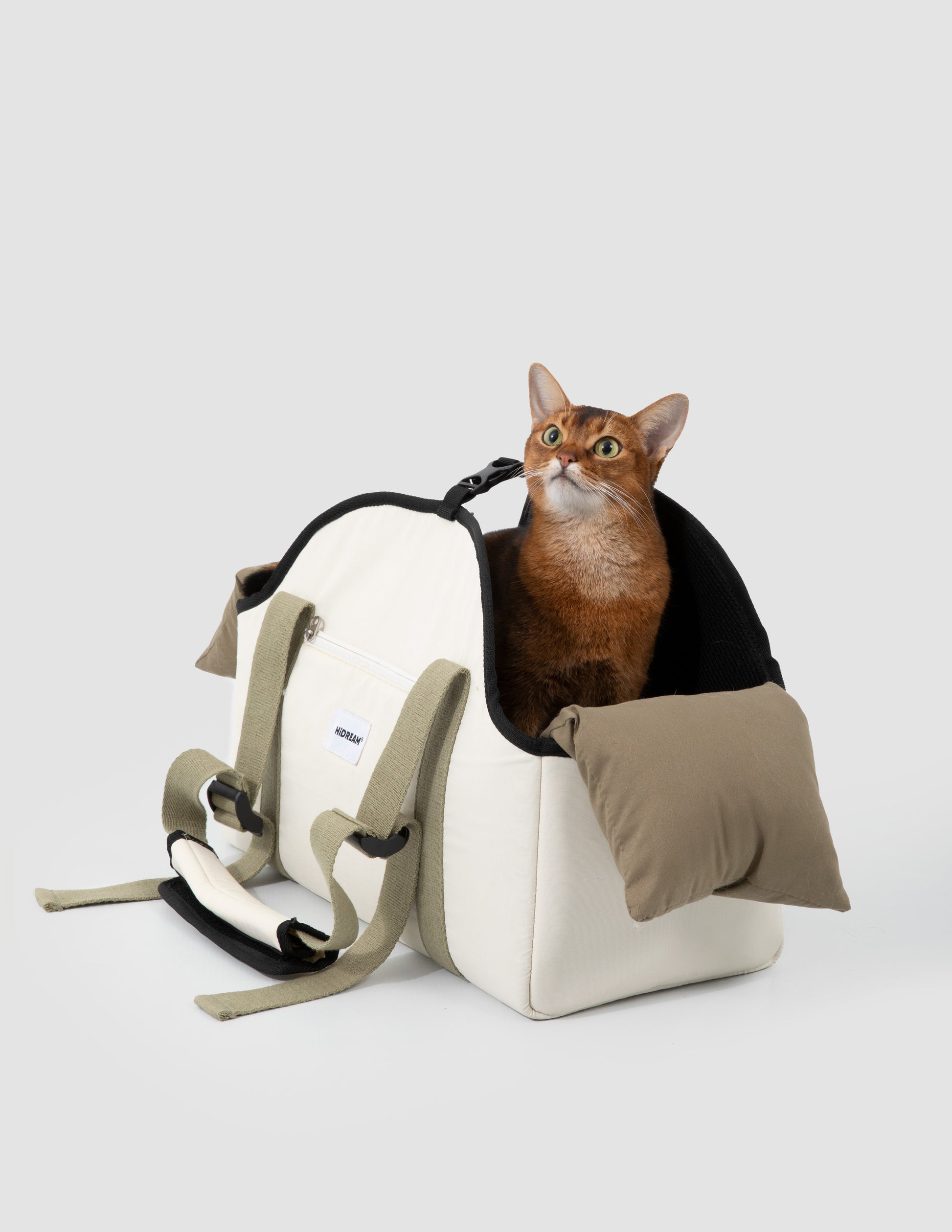 Cat sitting inside a white pet carrier with a brown pillow on a light gray background