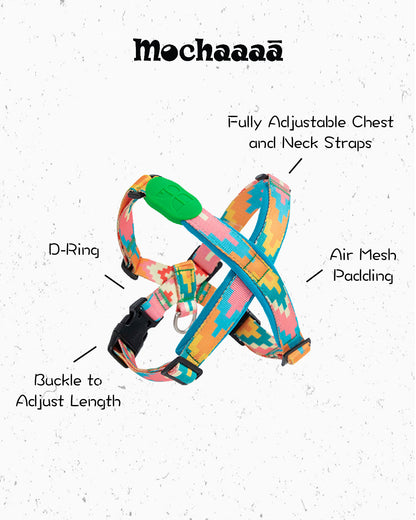 Colorful geometric dog harness with adjustable straps and no-pull design – durable nylon for small to medium dogs, perfect for outdoor walks and training