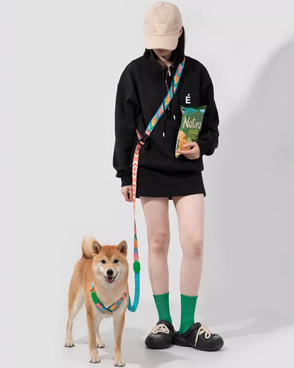Hands-free dog leash with matching harness on Shiba Inu – colorful, vegan leather dog leash with padded handle, adjustable strap, and durable design – ideal for training and everyday walks