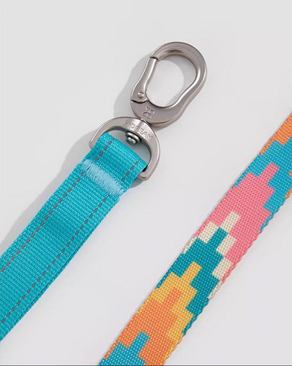 Close-up of high-strength metal hook and reinforced nylon strap on colorful dog leash – secure clip attachment for safe walking, hiking, or outdoor training