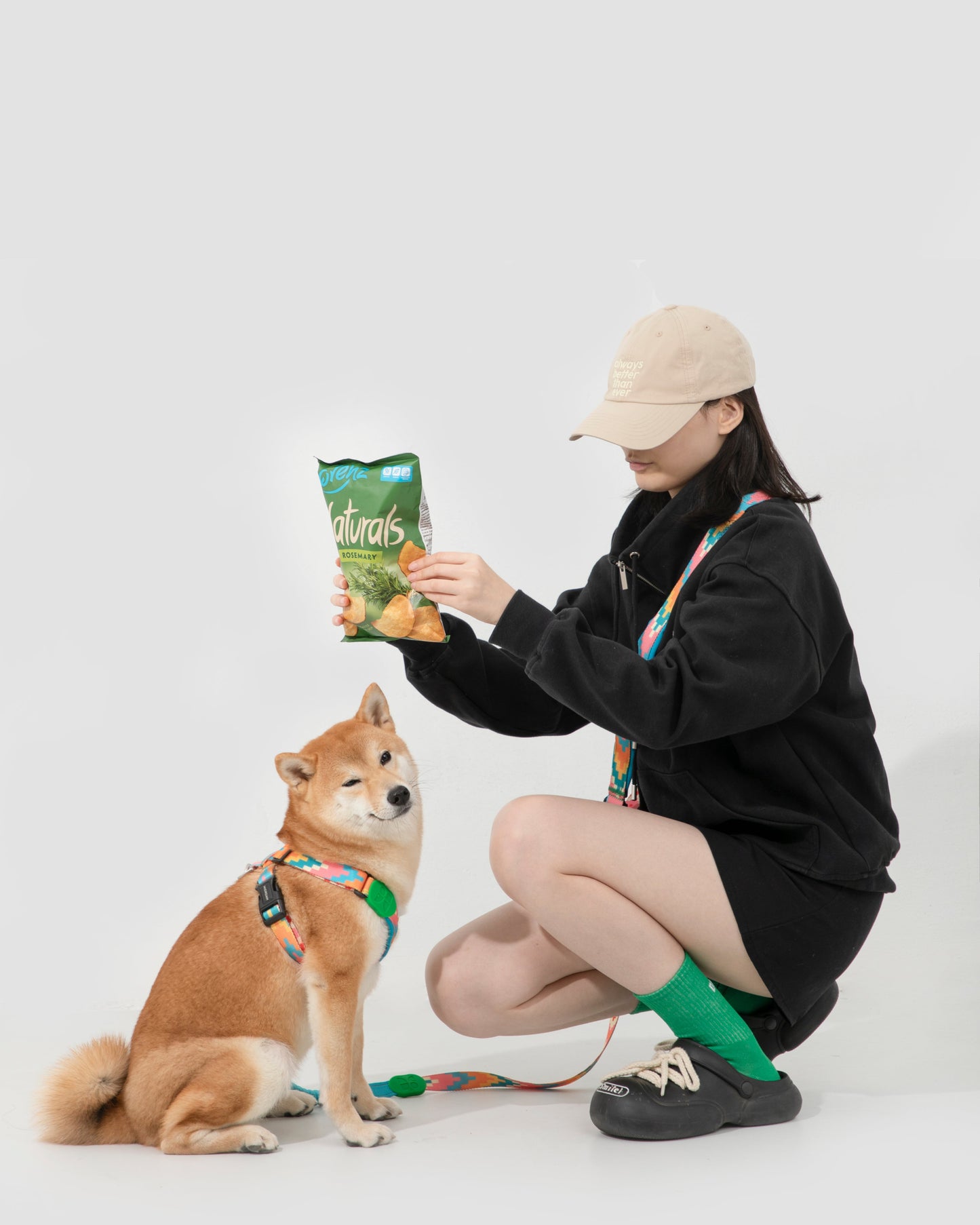Shiba Inu wearing colorful green-accented hands-free dog leash and harness set – adjustable stretch nylon for stylish and comfortable walking or training with crossbody option