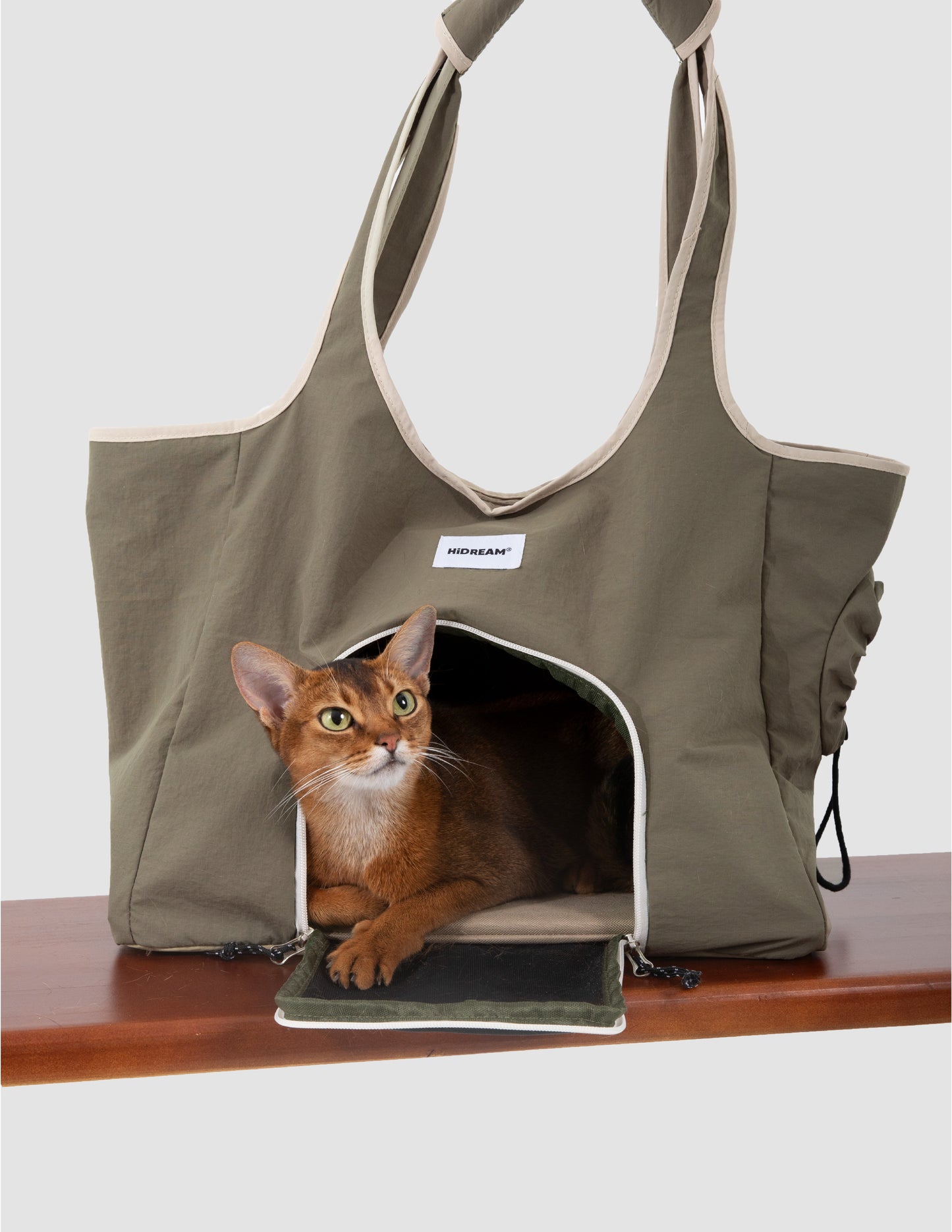 Cat peeking out from a green pet carrier on a wooden surface with a white background