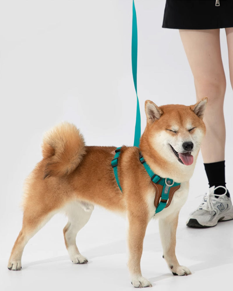 Mochaāā adjustable dog leash with vegan leather handle and high-strength metal hook – 4-in-1 hands-free design for walking, training, and running