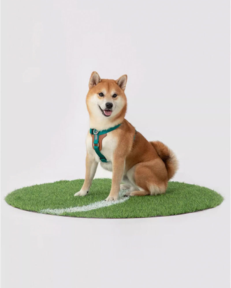 Adjustable green dog harness with vegan leather padded chest support, D-ring in front and back. no-pull design for medium to large dogs